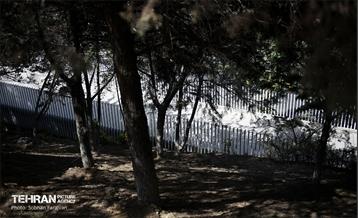 پل تندرستی 4