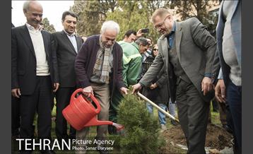 آیین کاشت " درخت فرهنگ و هنر و رسانه"  32