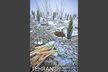 مراسم روز درختکاری با حضور شهردار تهران و رئیس مجلس 1
