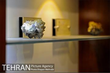 موزه طبیعت و حیات وحش دارآباد تهران 38