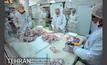 نشست خبری فروش فوق العاده "لبخند نوروزی" شهروند 29