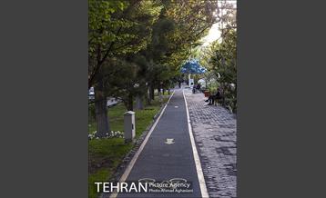 بلوار کشاورز 18