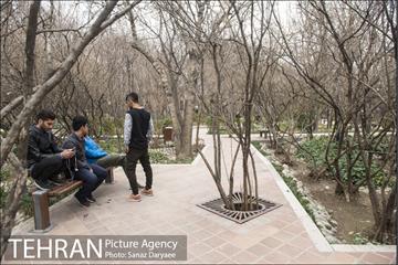 بوستان باغ ایرانی ده ونک 5
