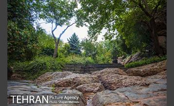 بوستان جمشیدیه 26