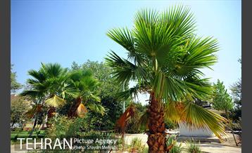 بوستان بسیج 33