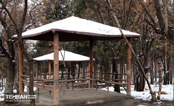 روز برفی در بوستان جنگلی سرخه‌حصار 8