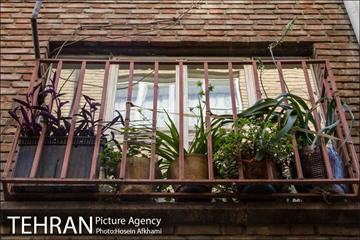 پنجره های شهر تهران 21