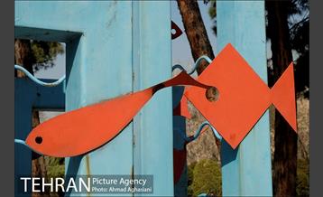 آکواریوم پارک شهر 1