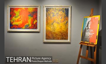 نمایشگاه نقاشی آثار شهرو خردمند 3