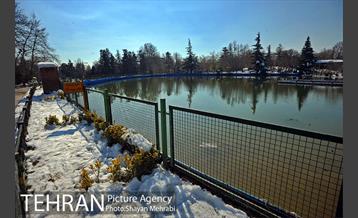 فصل زمستان در بوستان ملت 19