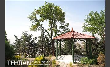 بوستان پرواز 9