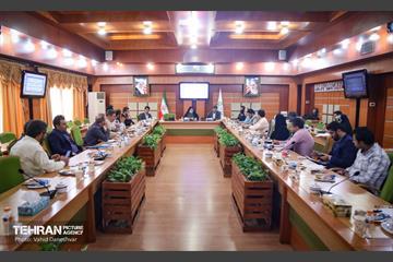 بازدید نرگس معدنی پور از منطقه 17