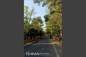 پارک جنگلی چیتگر 19