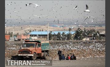 بازدید پذیرفته شدگان در آزمون دستیاران مدیرشهرداری تهران از مرکز آرادکوه 36