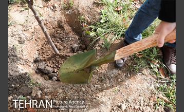 آیین درختکارى خبرنگاران در بوستان زندگى 13