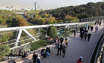 همایش‌ پیاده‌روی خانوادگی کارکنان شهرداری تهران 29