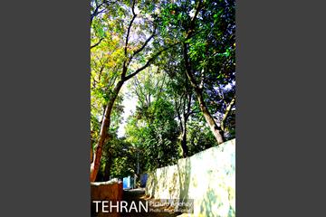 گذری در کوچه پس کوچه های محله کن‎ 18