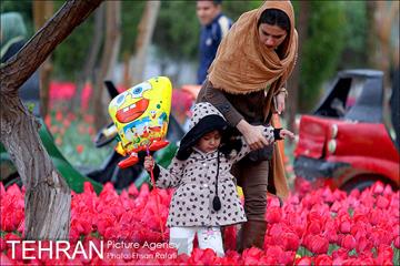 جشنواره لاله‌ها در بوستان زندگی محله هرندی 7
