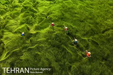 برندگان جایزه عکاس هوایی سال ۲۰۲۰  21