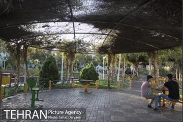 بوستان شهدای صباغچی‎ 7