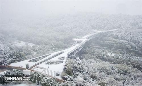 پل طبیعت در روز برفی پایتخت 27