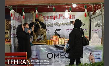 جشنواره اقوام ایرانی‎ 9