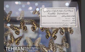 موزه طبیعت و حیات وحش ایران دارآباد‎ 20