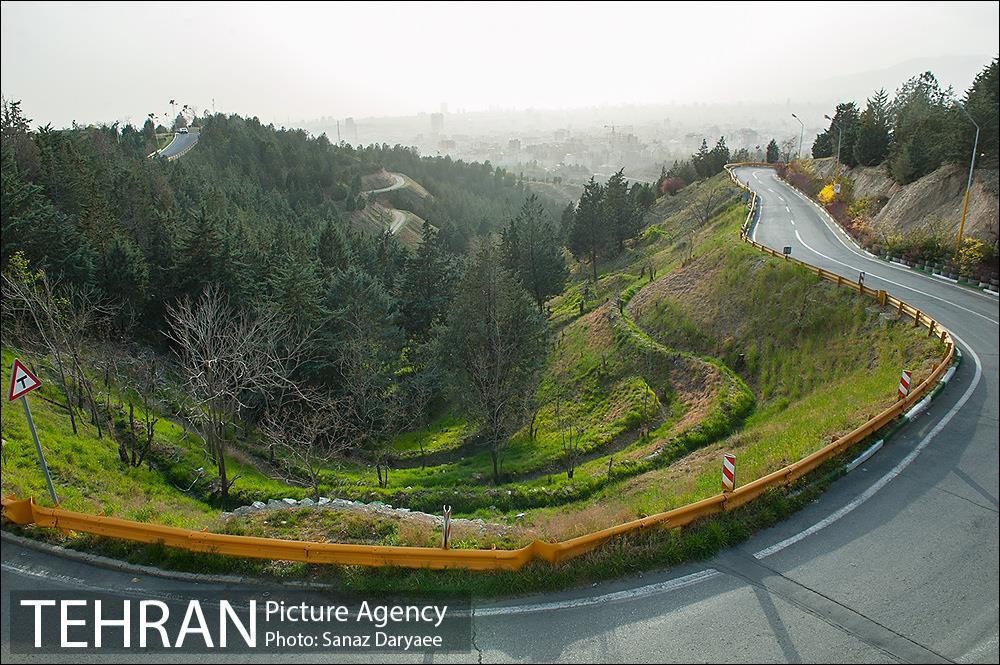 طبیعت بهاری پارک جنگلی لویزان‎  1