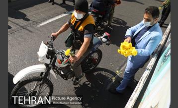 کاروان گل و موسیقی 17