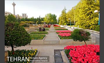 رویش گل های لاله در بوستان گفتگو 6