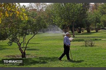 بوستان قائم 33