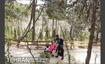 بوستان طالقانی 4