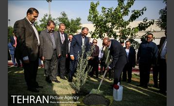 آئین درخت کاری به مناسبت تولد گاندی 15