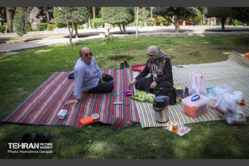 روز طبیعت در پارک ساعی و حاشیه اتوبان مدرس  21