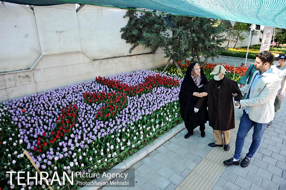 پیاده راه لاله مادران 19