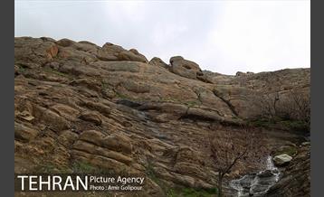 وردیج ، دنیایی از زیبایی 14