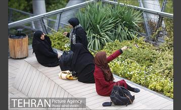 پل طبیعت در اولین روزهای پاییزیی 4