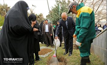 دومین پویش نفس‌های تازه شهر 4