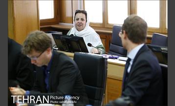 جلسه مقدماتی کارگاه احیا و باز آفرینی رود دره های تهران  10