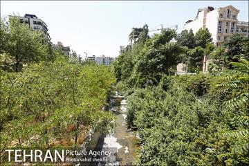 بوستان تندرستی 18