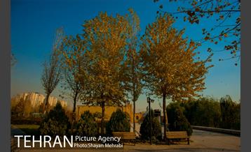 پاییز باغ موزه قصر 15