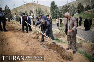آئین کاشت نهال در بوستان جنگلی سرخه حصار 15