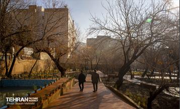 باغ گلاریس 46