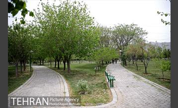 بوستان آزادگان 17