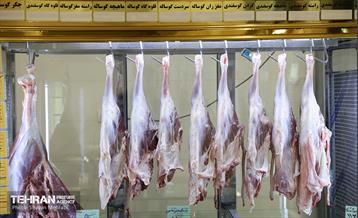 آیین افتتاحیه ۵ بازار میوه و تره‌بار 8