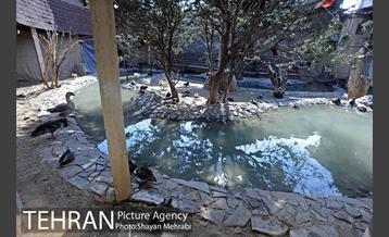 موزه طبیعت و حیات وحش دارآباد تهران 17