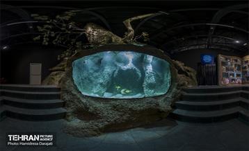 اقیانوس پارک  40