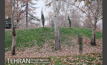 مسابقه پیاده روی و جهت یابی در پارک ملت 20