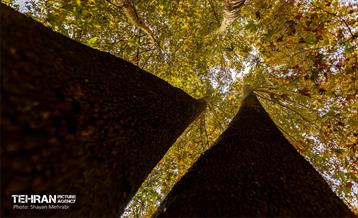 رود دره فرحزاد 10