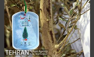 آیین کاشت درخت دانش در بوستان جنگلی چیتگر 24